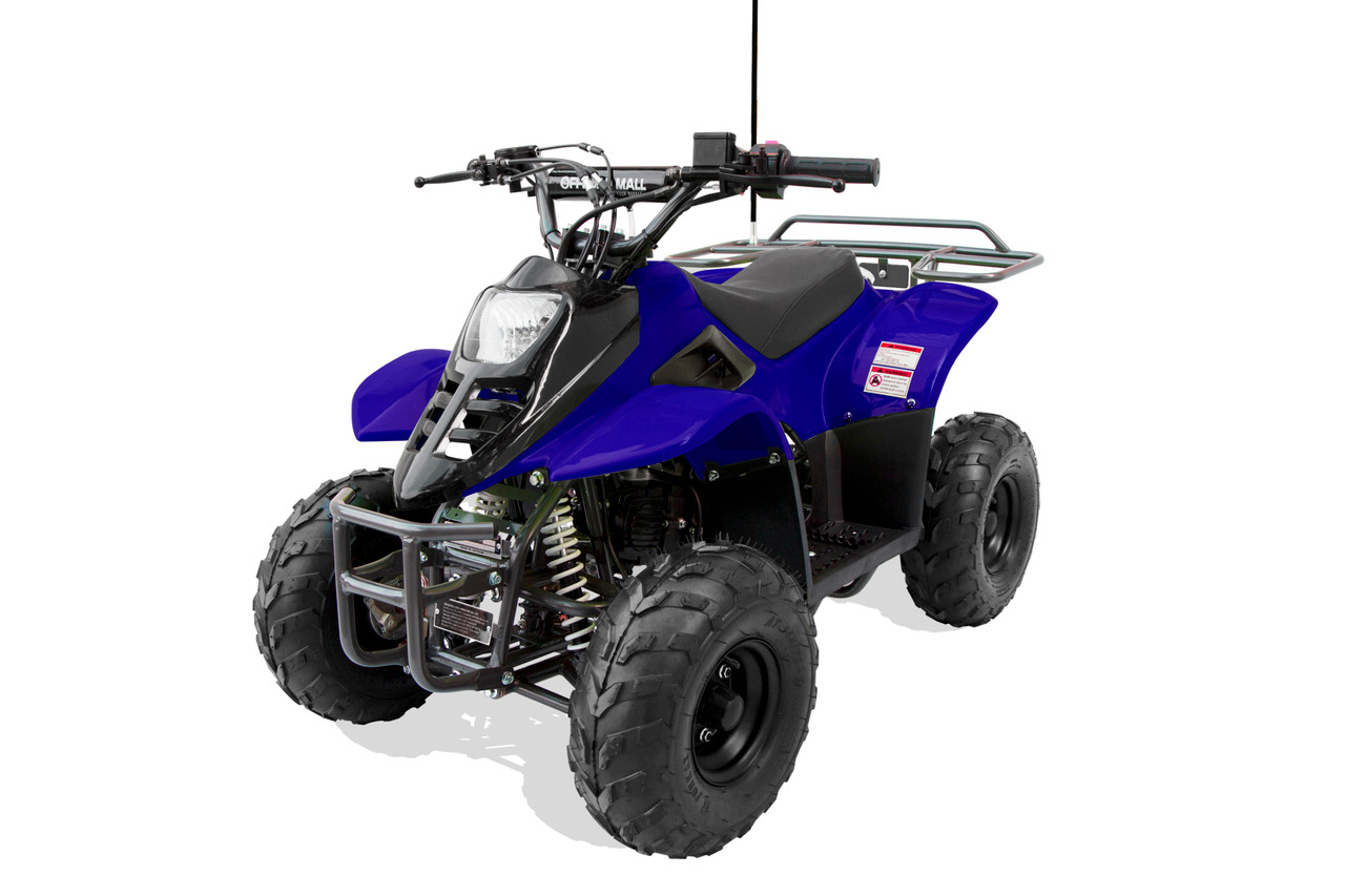 TrailMaster Mini Sport ATV 110, Gas Engine with Remote Start/Kill